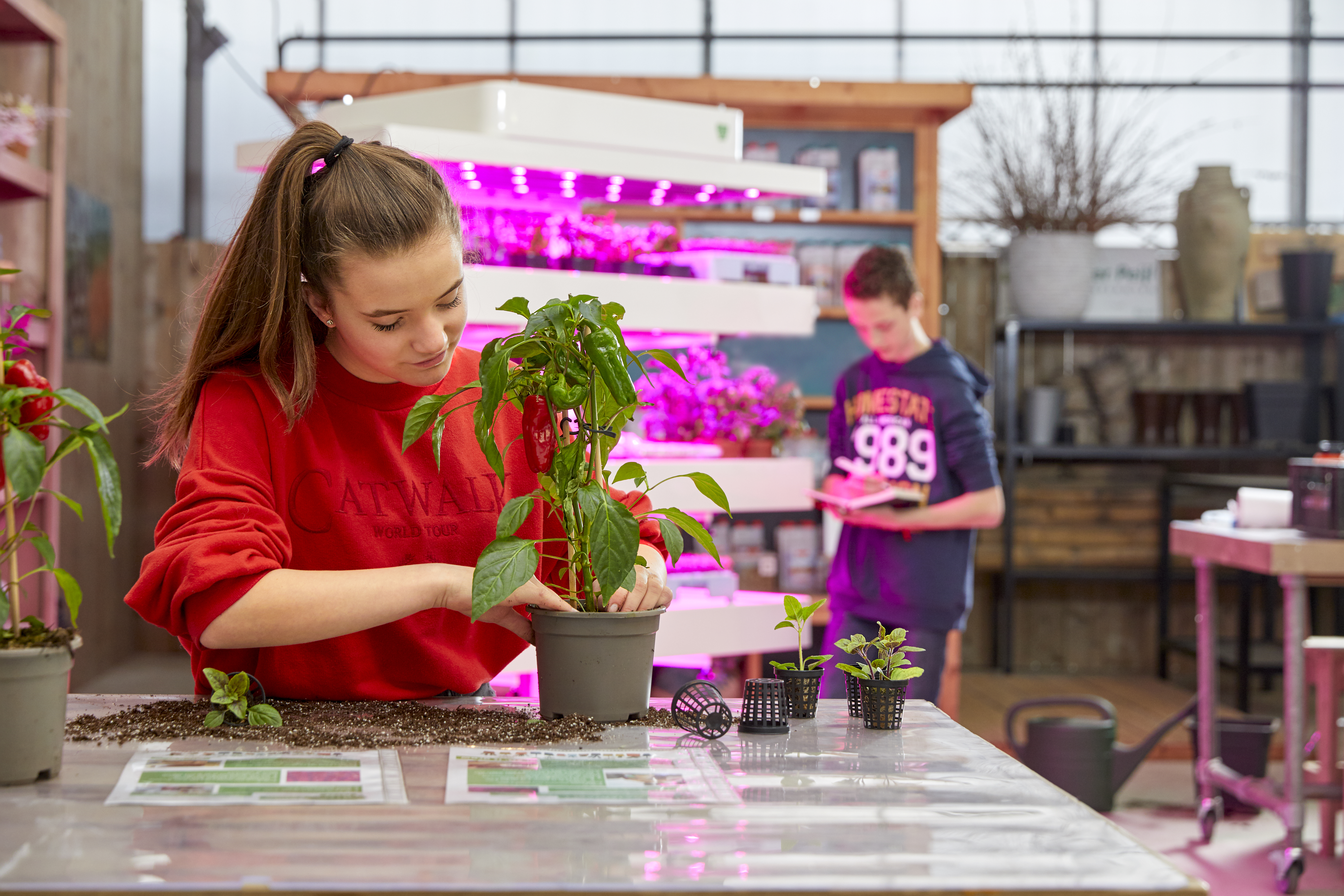 Leerlingen in een kas werken met planten